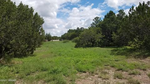 1381 W School Bus Rd, Eagar, AZ 85925 photo 4