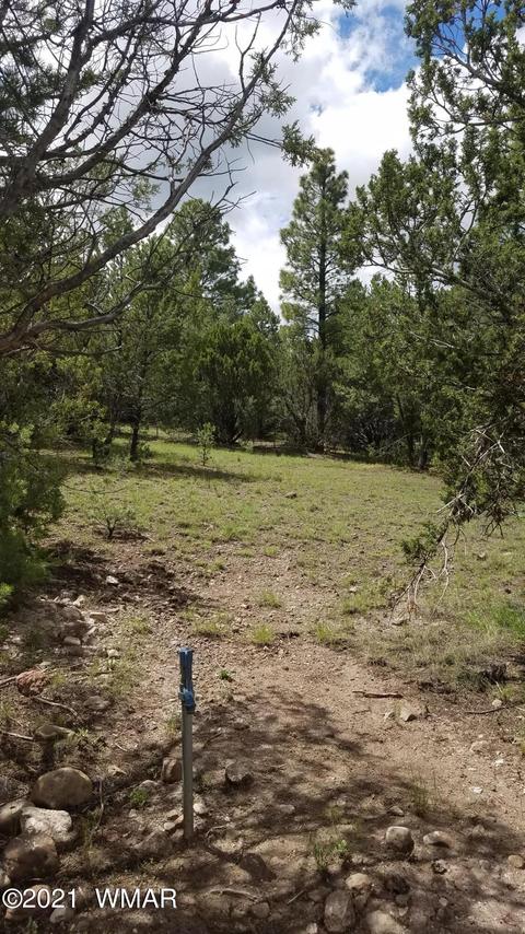 1381 W School Bus Rd, Eagar, AZ 85925 photo 7