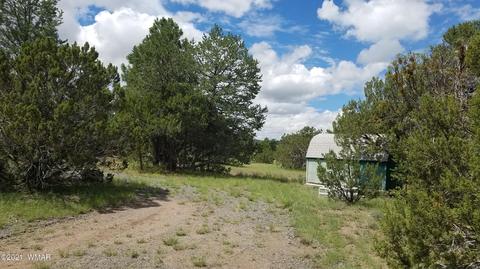 1381 W School Bus Rd, Eagar, AZ 85925 photo 3