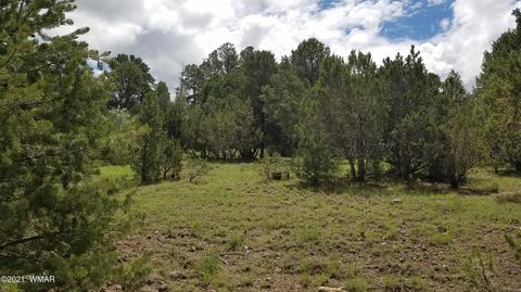 1381 W School Bus Rd, Eagar, AZ 85925 photo 5