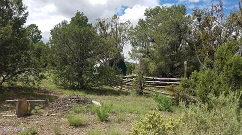 1381 W School Bus Rd, Eagar, AZ 85925 photo 2