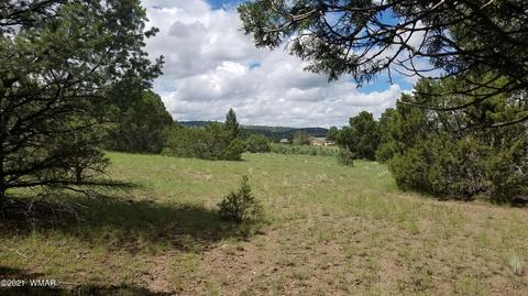 1381 W School Bus Rd, Eagar, AZ 85925 photo 11