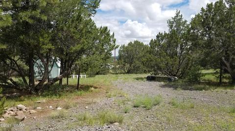 1381 W School Bus Rd, Eagar, AZ 85925 photo 8