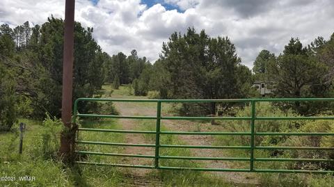 1381 W School Bus Rd, Eagar, AZ 85925 photo 1
