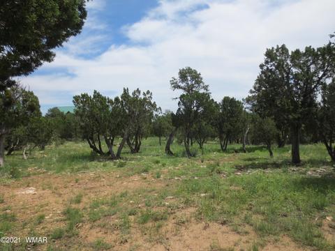 2971 Lodgepole Rd, Overgaard, AZ 85933 photo 4