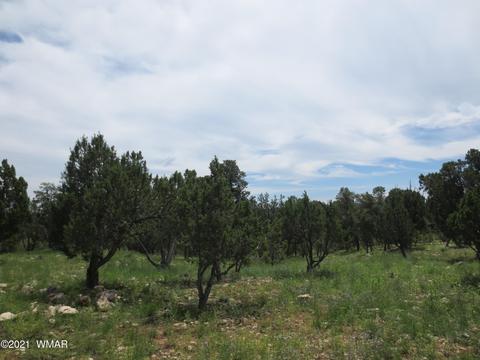 2971 Lodgepole Rd, Overgaard, AZ 85933 photo 6