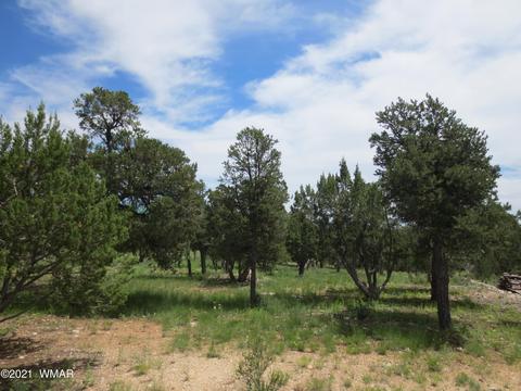 2971 Lodgepole Rd, Overgaard, AZ 85933 photo 3