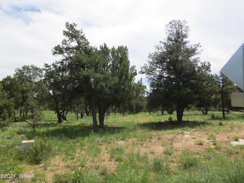 2971 Lodgepole Rd, Overgaard, AZ 85933 photo 2