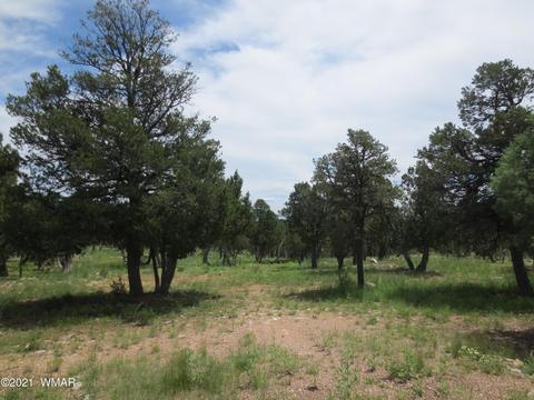 2971 Lodgepole Rd, Overgaard, AZ 85933 photo 1