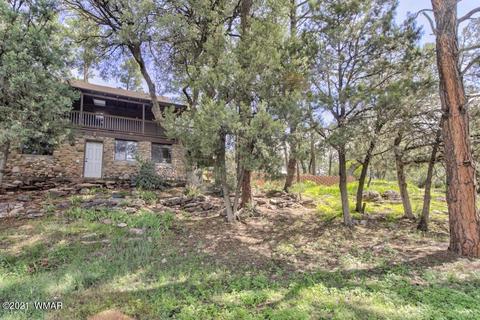 3247 Fuller Dr, Pine, AZ 85544 photo 32