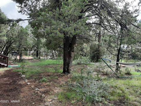 2056 Thousand Pines Dr, Overgaard, AZ 85933 photo 20