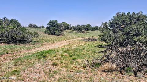 18 N8604, Concho, AZ 85924 photo 2