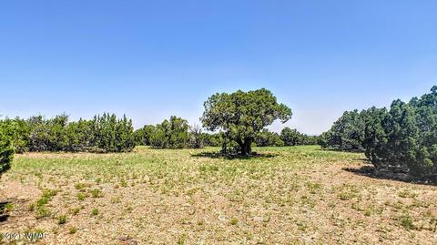 18 N8604, Concho, AZ 85924 photo 23
