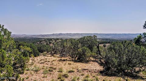 18 N8604, Concho, AZ 85924 photo 11
