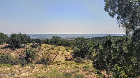 18 N8604, Concho, AZ 85924 photo 18