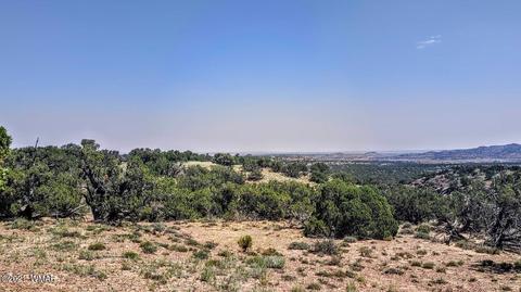 18 N8604, Concho, AZ 85924 photo 14