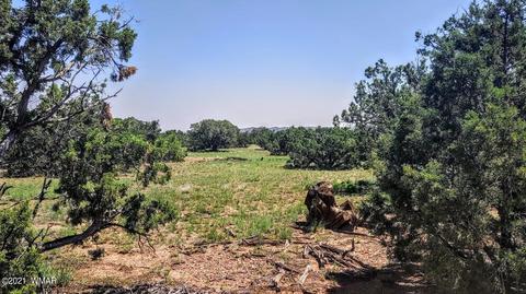 18 N8604, Concho, AZ 85924 photo 10