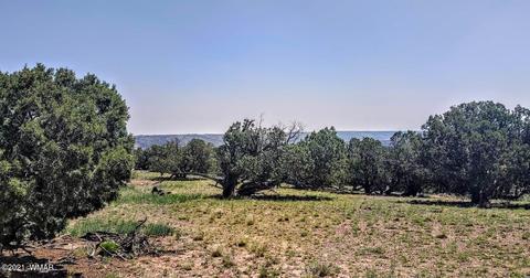 18 N8604, Concho, AZ 85924 photo 15
