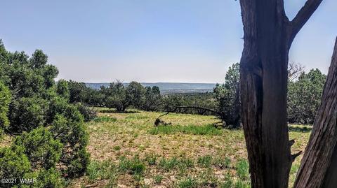 18 N8604, Concho, AZ 85924 photo 9