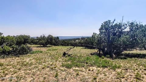 18 N8604, Concho, AZ 85924 photo 16