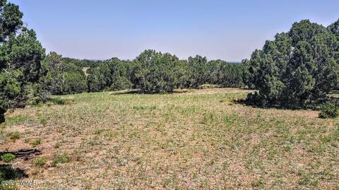 18 N8604, Concho, AZ 85924 photo 24