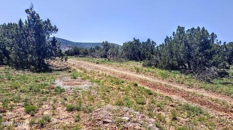 18 N8604, Concho, AZ 85924 photo 3