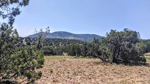 18 N8604, Concho, AZ 85924 photo 1