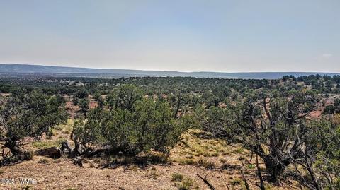 18 N8604, Concho, AZ 85924 photo 20