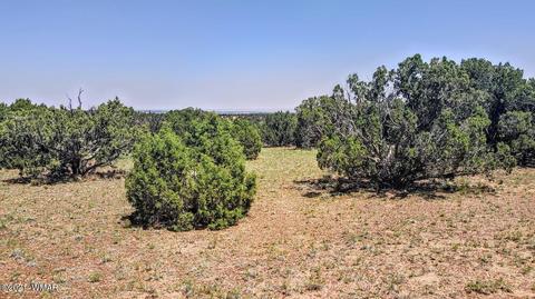 18 N8604, Concho, AZ 85924 photo 21