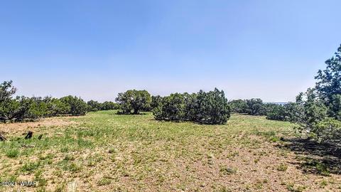 18 N8604, Concho, AZ 85924 photo 22