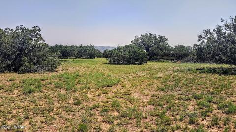 18 N8604, Concho, AZ 85924 photo 4
