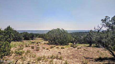 18 N8604, Concho, AZ 85924 photo 12