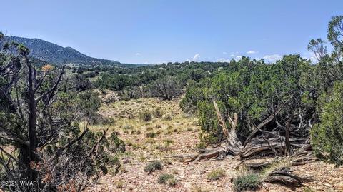18 N8604, Concho, AZ 85924 photo 8