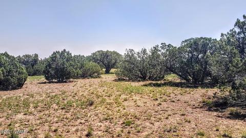 18 N8604, Concho, AZ 85924 photo 26