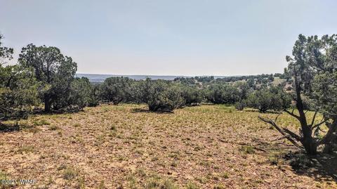 18 N8604, Concho, AZ 85924 photo 17