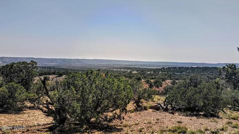 18 N8604, Concho, AZ 85924 photo 19