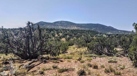 18 N8604, Concho, AZ 85924 photo 7