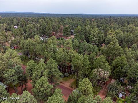 2886 Tracy Rd, Overgaard, AZ 85933 photo 20
