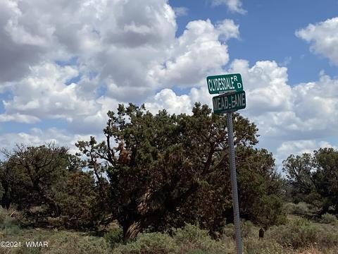 4301 Colt Rd, Snowflake, AZ 85937 photo 3