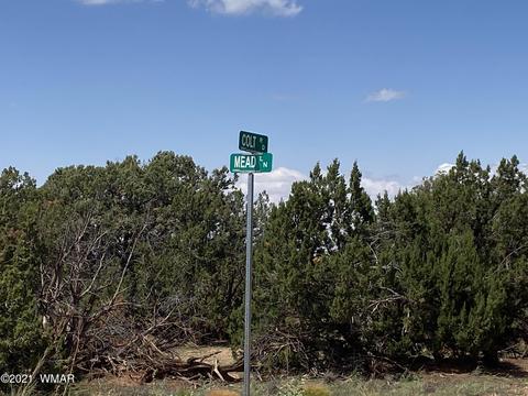 4301 Colt Rd, Snowflake, AZ 85937 photo 6