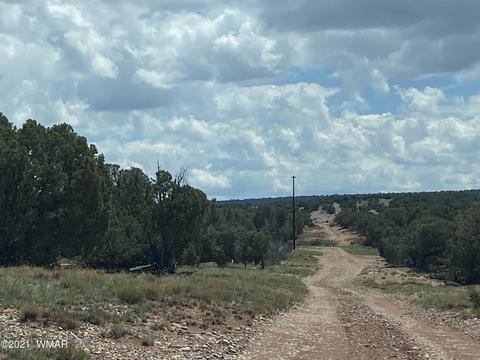 4301 Colt Rd, Snowflake, AZ 85937 photo 1