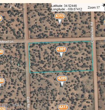 4301 Colt Rd, Snowflake, AZ 85937 photo 7