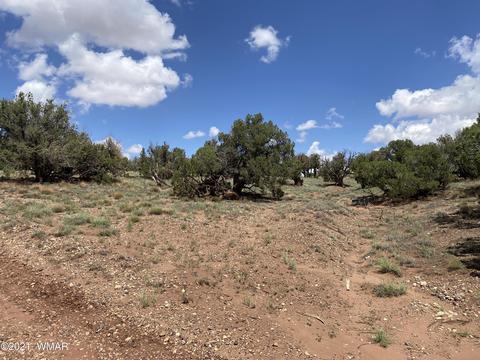 4301 Colt Rd, Snowflake, AZ 85937 photo 2