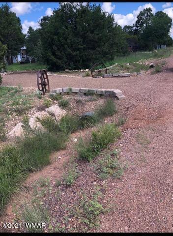 3542 Evergreen Dr, Overgaard, AZ 85933 photo 13