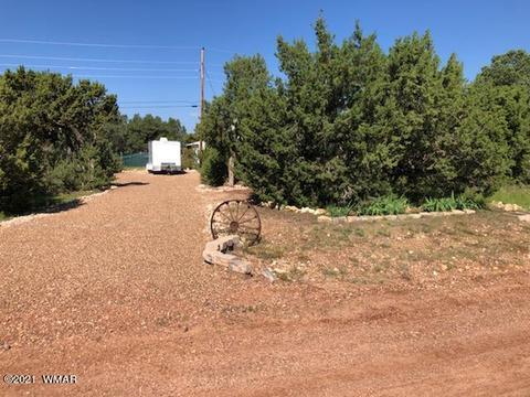 3542 Evergreen Dr, Overgaard, AZ 85933 photo 3