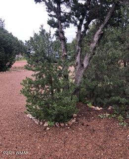 3542 Evergreen Dr, Overgaard, AZ 85933 photo 10