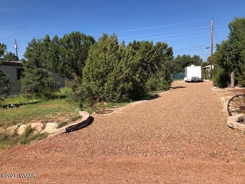 3542 Evergreen Dr, Overgaard, AZ 85933 photo 4