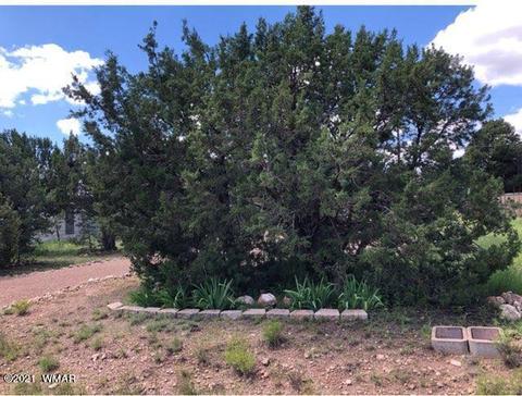3542 Evergreen Dr, Overgaard, AZ 85933 photo 15