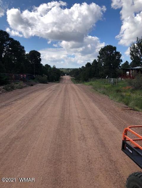 3542 Evergreen Dr, Overgaard, AZ 85933 photo 8