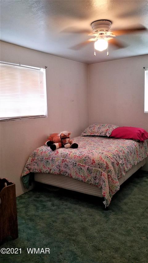220 E 1st St, Eagar, AZ 85925 photo 13